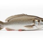 Bright white background image 4