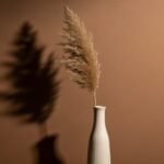Brown background aesthetic image 3