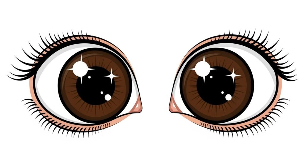 Brown eyes clipart no background image 2