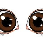 Brown eyes clipart no background image 2