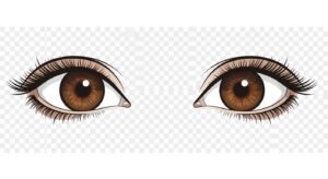 Brown eyes clipart no background image