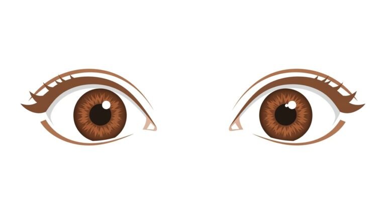 Brown eyes clipart no background image 4