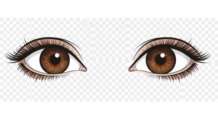 Brown eyes clipart no background image