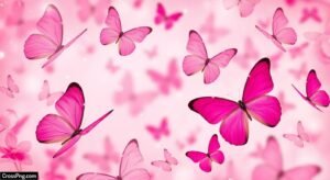Butterfly background pink image 3