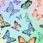 Butterfly theme background image 3