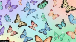 Butterfly theme background image 3
