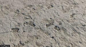Cement background image