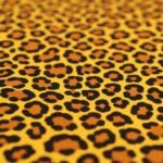 Cheetah print background image