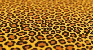 Cheetah print background image