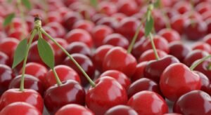 Cherry background image 2
