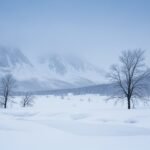 Cold background image