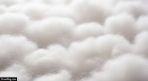 Cotton background image