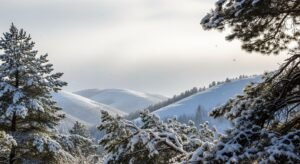 December background image