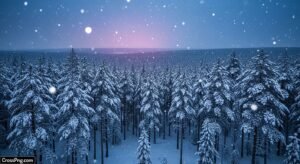 December background image 2