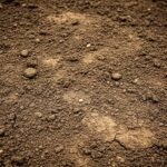 Dirt background image 3
