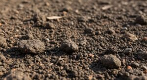 Dirt background image