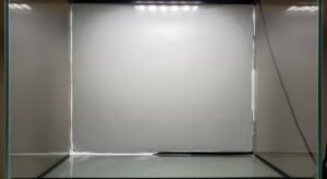 Drylok clear background terrirum image 4