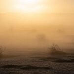 Dusty background image 3