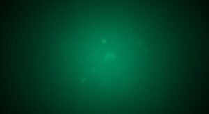Emerald green background image 2