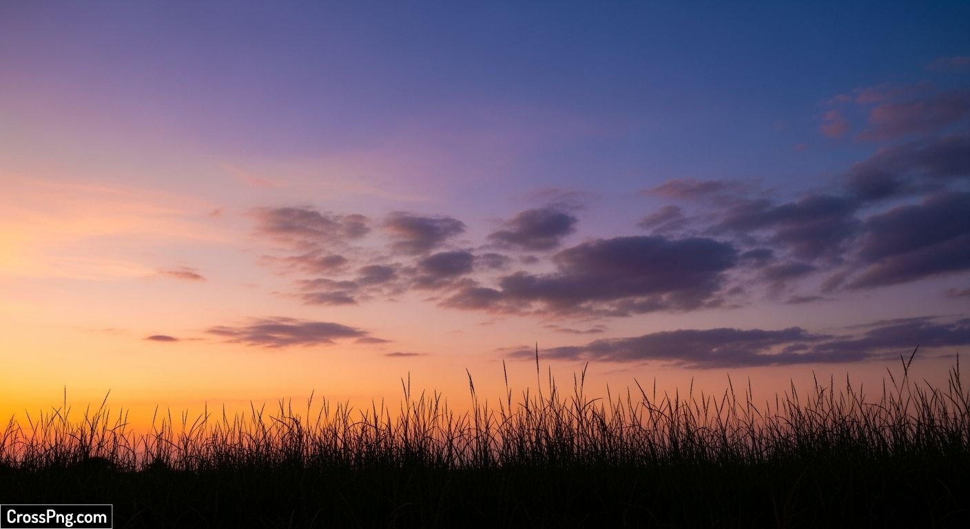 Evening sky grass background image