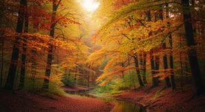 Fall background aesthetic image 7