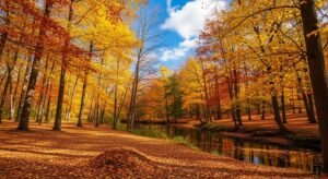 Fall background aesthetic image 8