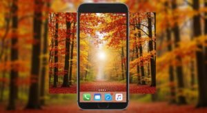 Fall iphone background image 2