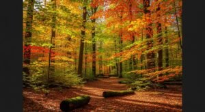 Fall zoom background image 5
