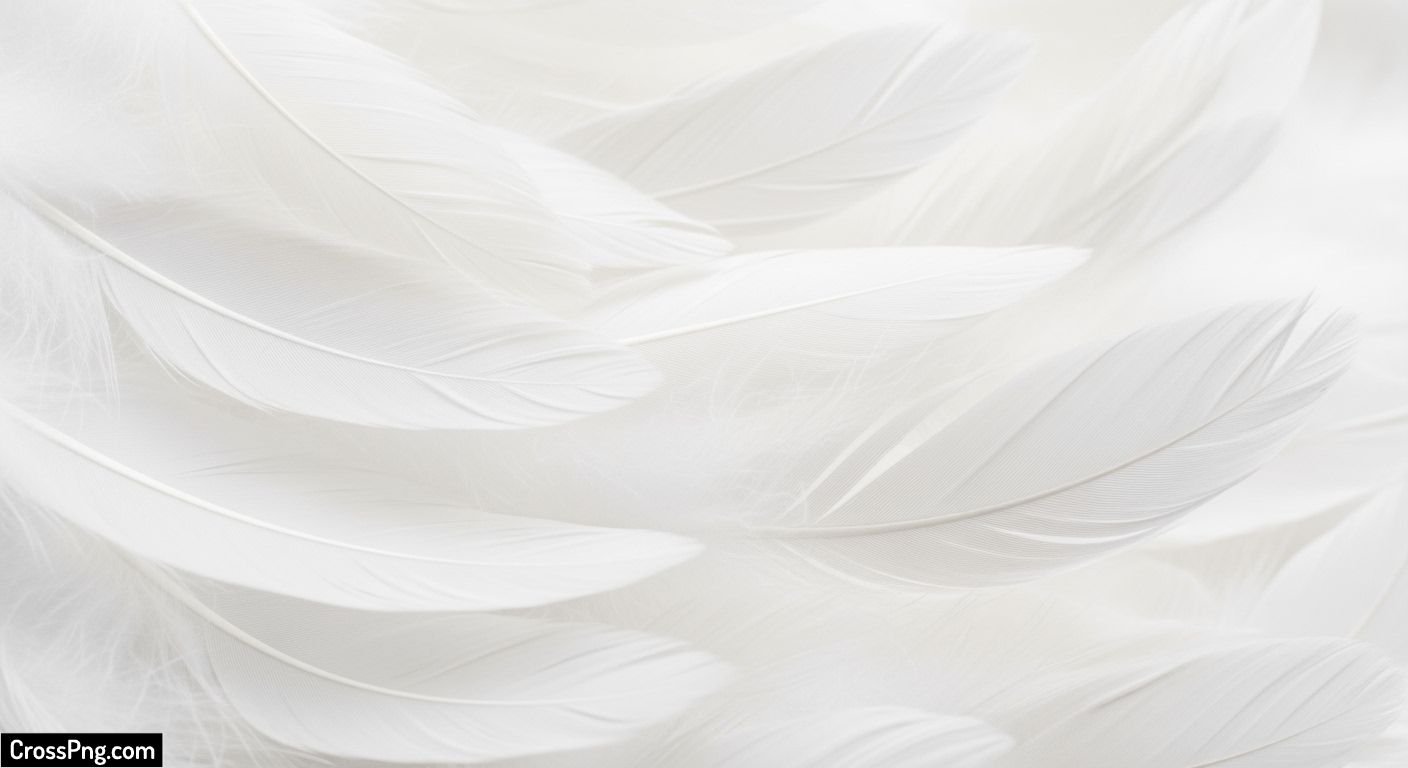 Feather background image