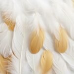 Feather background image 3