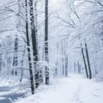 February background image