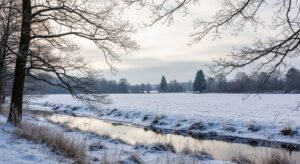 February background image 2