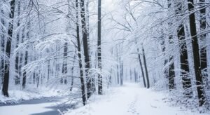 February background image