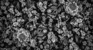 Floral background black and white image 3