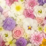 Flower background aesthetic image