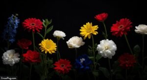 Flower background black image 3