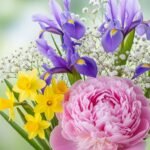 Flower phone background image 4