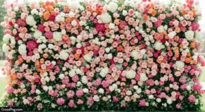 Flower wall background image