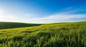 Grass blue sky background jpg image 4