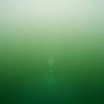 Green aesthetic background image 4