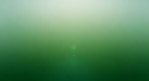Green aesthetic background image 4