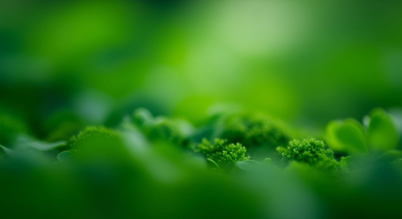 Green background aesthetic image 2