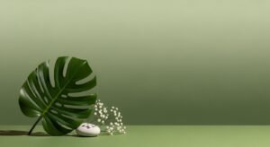 Green background aesthetic image 4