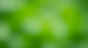 Green background image 8