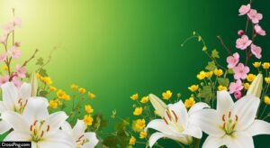 Green background with flowers image 3
