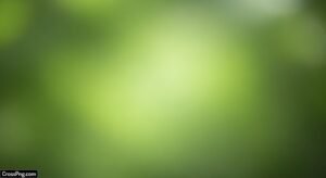 Green blur background hd image