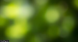 Green blur background hd image