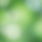 Green blur background image