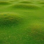 Green ground background image 2