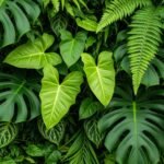 Green plant background image 3